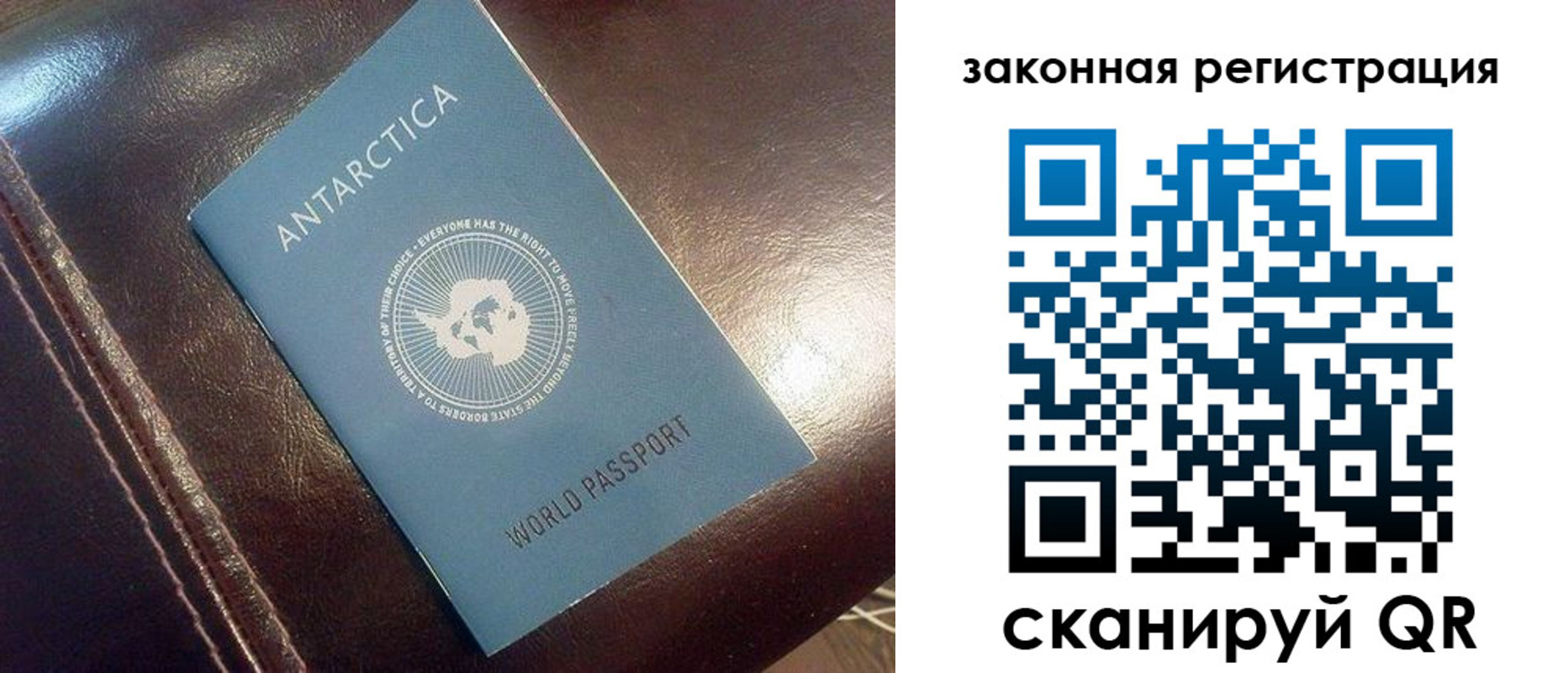 временная регистрация поиск в Александровске